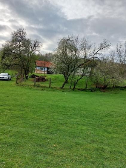 Vand Teren + Casa si anexe - 3