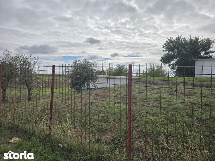 Comuna Amzacea- sat G.Scari?oreanu -Ferma zootehnica , teren 5,1ha - 3