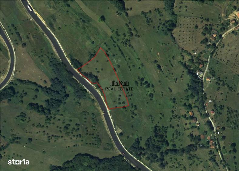 Teren de 8757 mp, în Luncoiu de Jos
