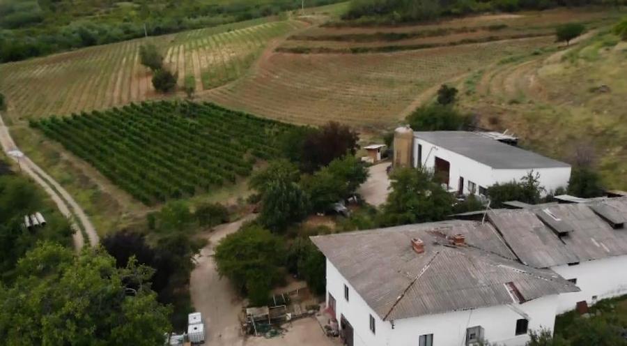 Teren intravilan de 1000 mp, în Est