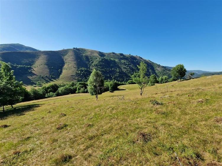 Teren Construcții intravilan de 31258 mp, în Remeți