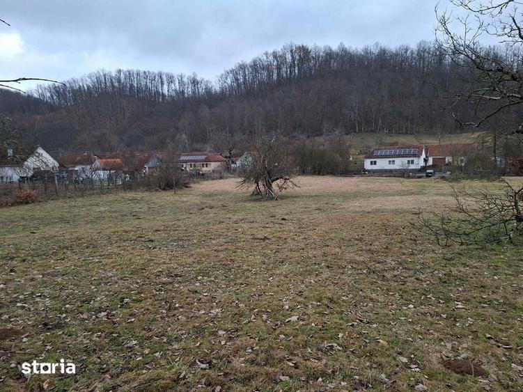 Teren de 3140 mp, în Petriș
