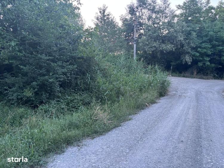 Spațiu comercial, în Sopor