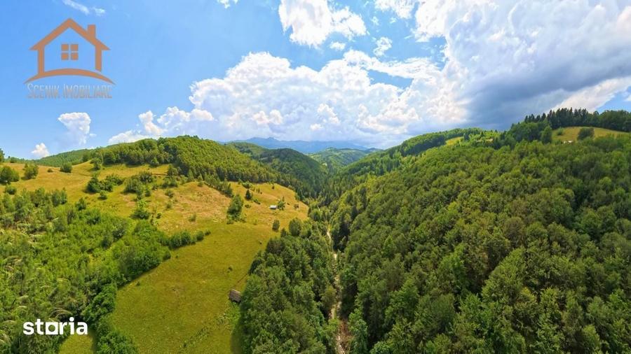Investitie Smart in Moieciu, 3.1 ha, Panorama 360 Bucegi - Piatra Crai - 15
