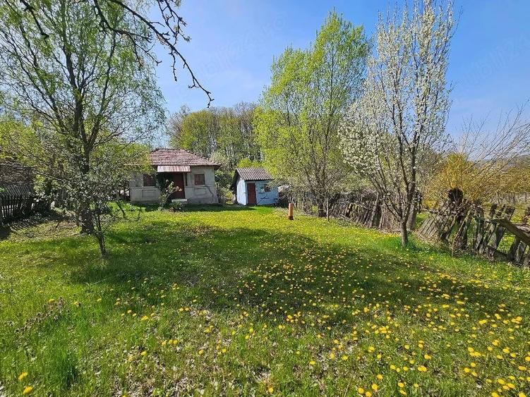 Teren de 3000 mp, în Dăești