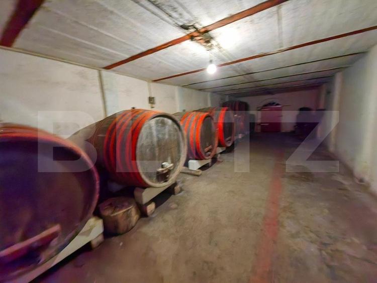 Casă individuală cu 5 camere cu Garaj în Șard