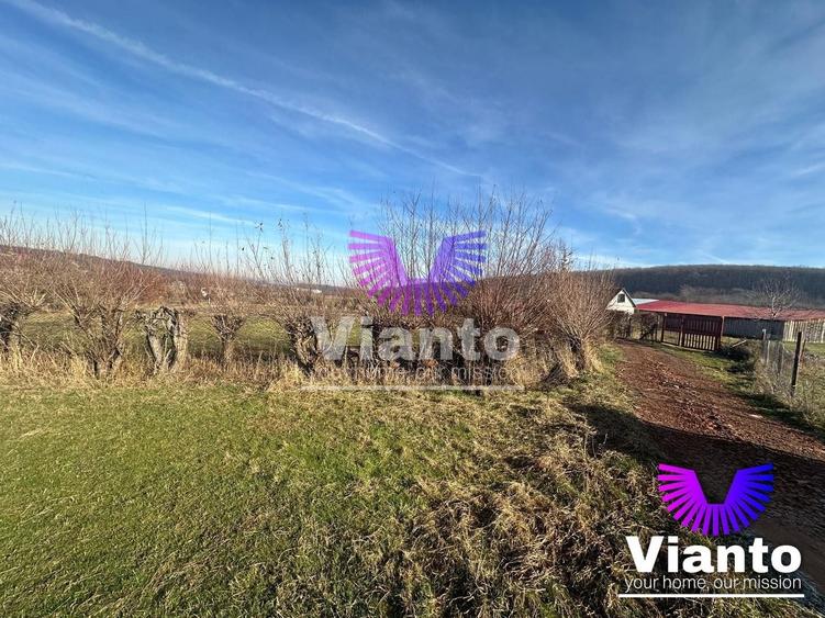 Teren Construcții intravilan de 500 mp, în Rășinari