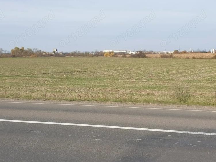 Teren de 32300 mp, în Sud