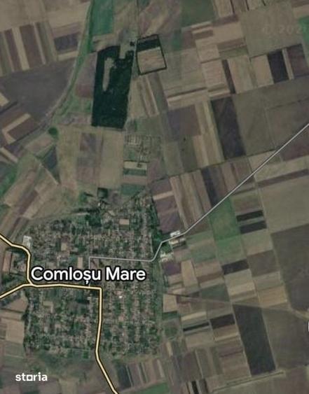 Teren de 60000 mp, în Comloșu Mare
