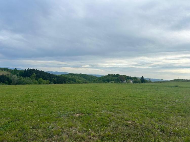 Teren Construcții intravilan de 11290 mp, în Șinteu