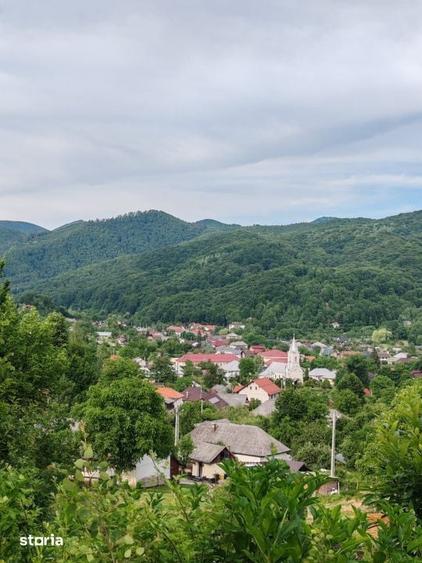 Teren de 900 mp, în Tăuții-Măgherăuș