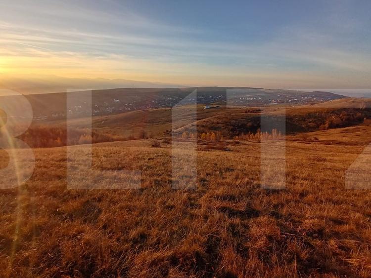 Teren agricol extravilan de 8600 mp, în Sălicea