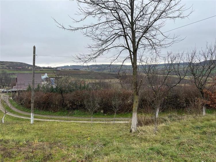 Teren Construcții intravilan de 500 mp, în Hidișelu de Sus