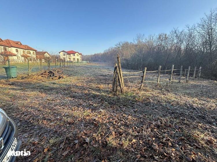 Teren de 3676 mp, în Păulești