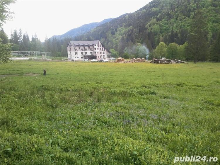 Teren de 5000 mp, în Brateș