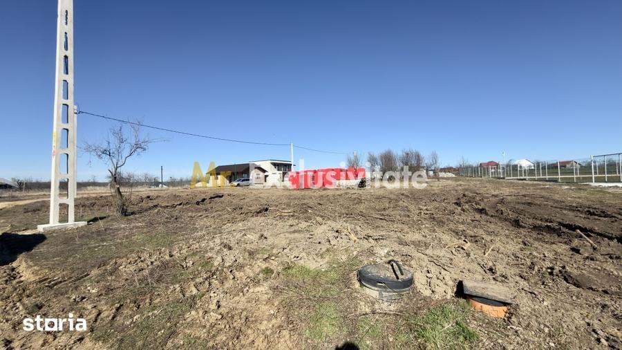 Teren de 533 mp, în Albota