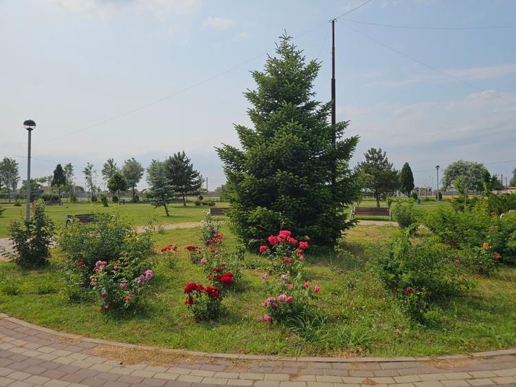 Teren Construcții intravilan de 5465 mp, în Topraisar
