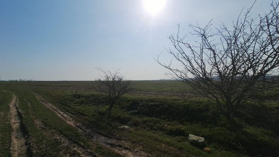 Teren Construcții intravilan de 6650 mp, în Bălăceanca