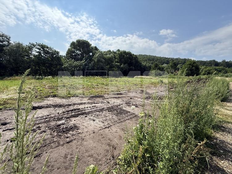 Teren Construcții intravilan de 23000 mp, în Horodnic de Jos
