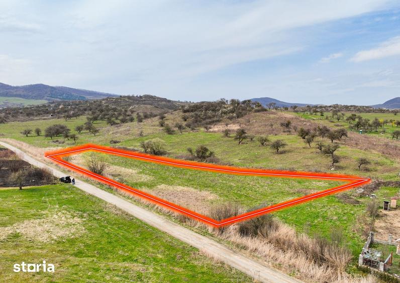 Teren parcelabil, 6.300mp, Zona Drumul Sigmirului - 3