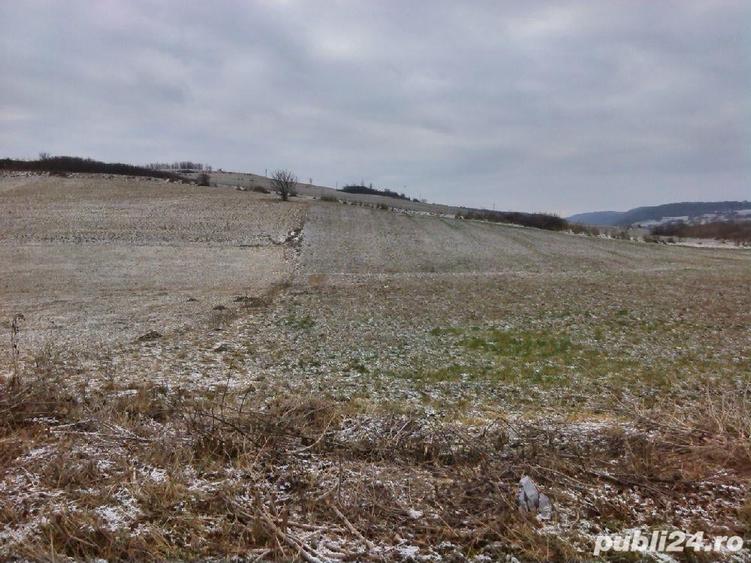 Teren de 5450 mp, în Vânători