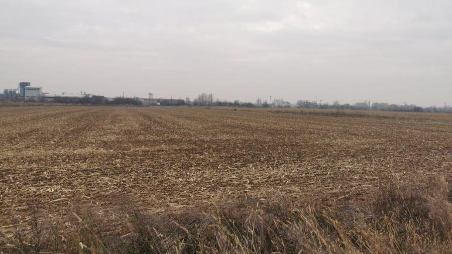 Teren Construcții intravilan de 4550 mp, în Ciolpani