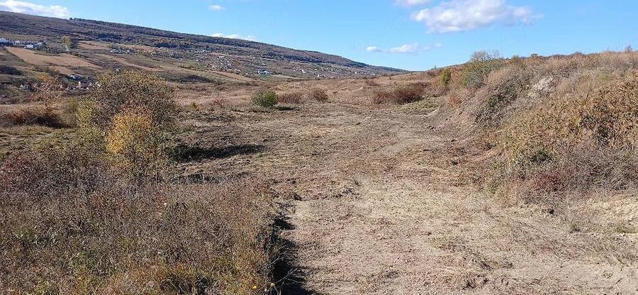 Vand 3176 mp de teren extavilan in zona Valea Chintaului - 2