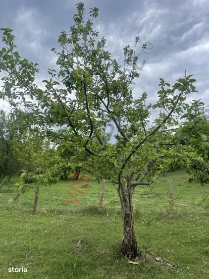 Spațiu comercial, în Drăghici