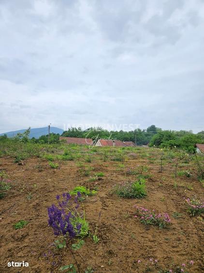 Teren de 3066 mp, în Pianu