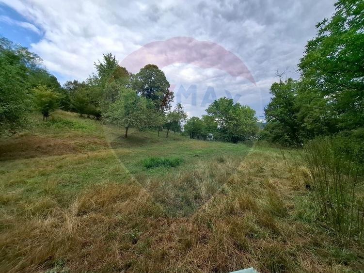 Teren Construcții intravilan de 2635 mp, în Bârzava