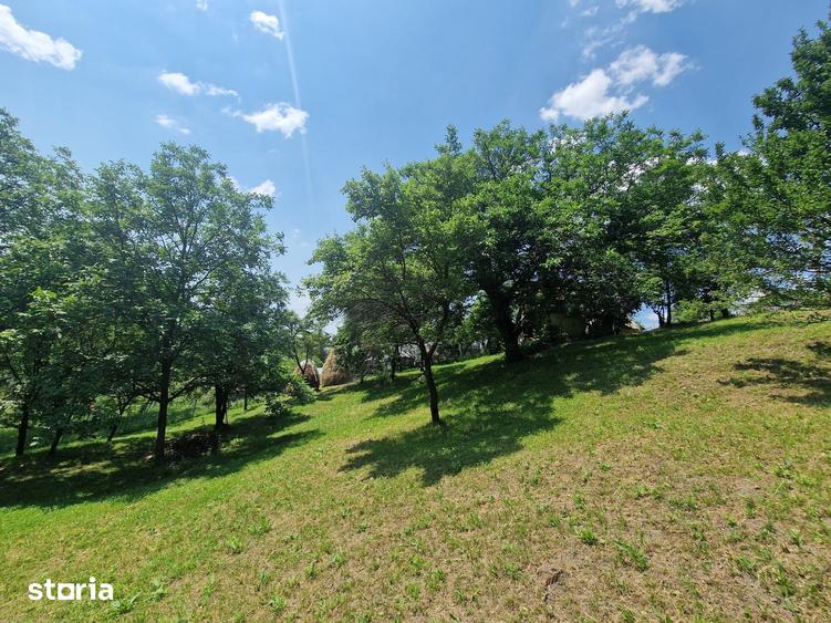 Teren de 3910 mp, în Secăriei
