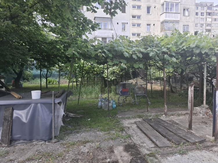 Spațiu comercial, în Griviței