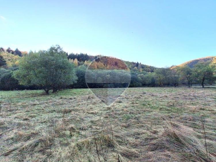 Teren agricol extravilan de 3981 mp, în Plaiul Foii