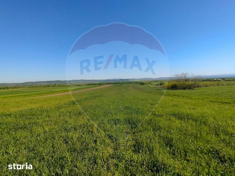 Teren de 1668 mp, în Gura Râului