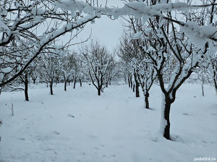 Teren de 11860 mp, în Călugăreni