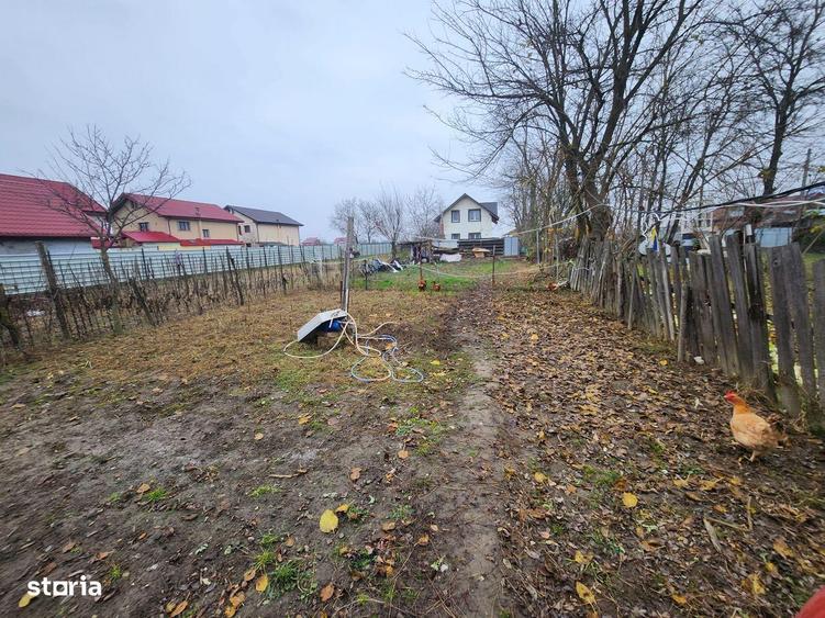 Casa cu 3 camere in Serbanesti - 17