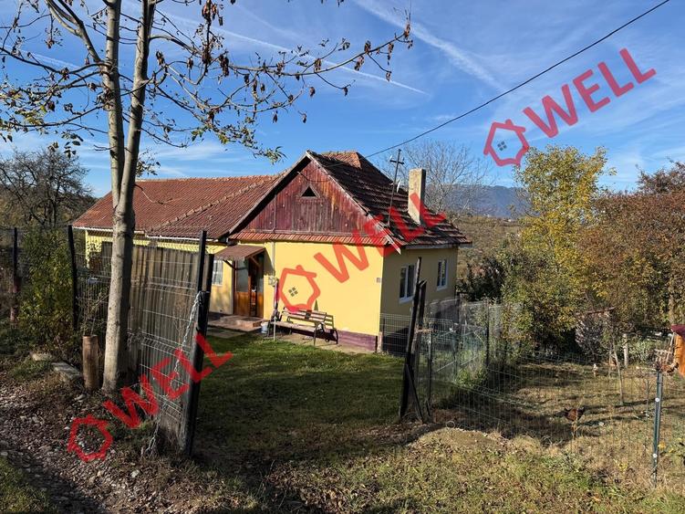 Casă individuală cu 2 camere cu Teren 4831 Mp în Sohodol
