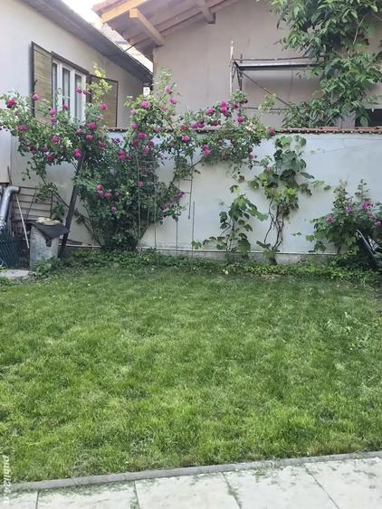 Casă cu 5 camere cu Teren 460 Mp în Calea Dumbrăvii