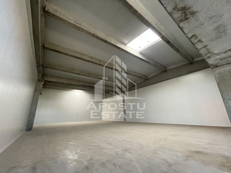 Spațiu industrial, de 1,046 mp, în Sânandrei
