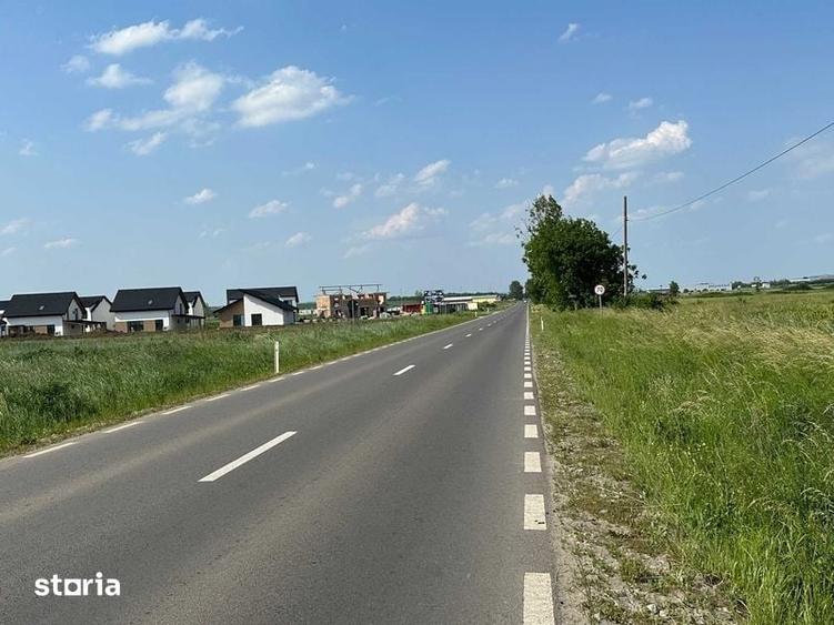 Vand teren 18.100 mp pentru dezvoltare in Sura Mica / jud. Sibiu - 5