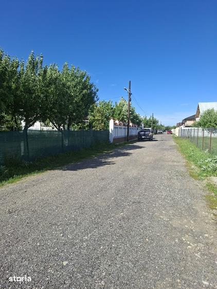 Cornetu, Teiului, Stradal - 6