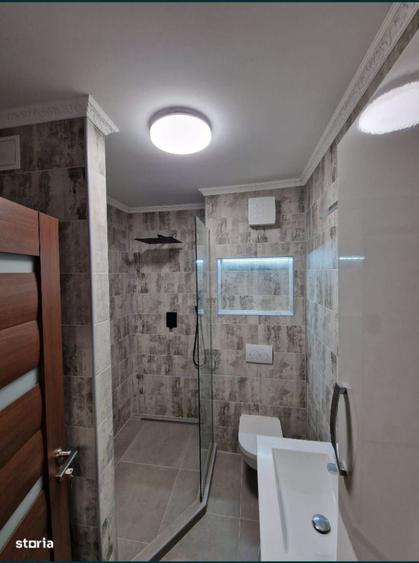 Apartament cu 2 camere decomandat în Viișoara