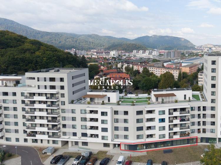 Spațiu comercial, de 123.79000091553 mp, în Noua