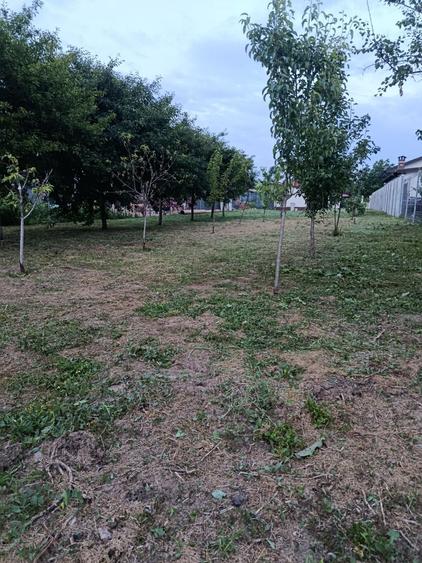 Casă cu 3 camere în Cazasu
