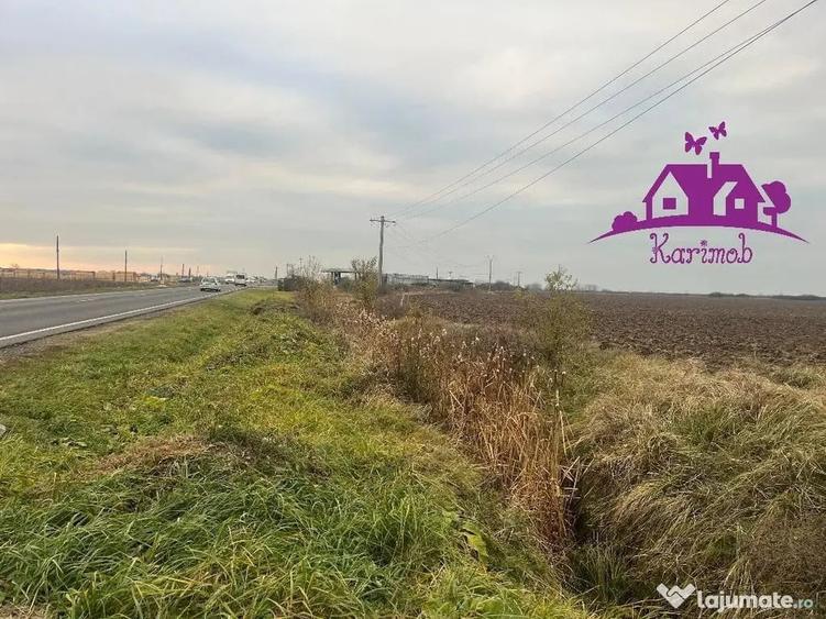 Teren de 5620 mp, în Nojorid