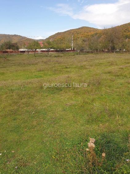 Casă cu Teren 3600 Mp în Balotești