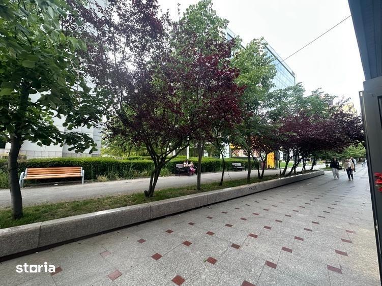 Vanzare Afacere la Cheie pe Bd Unirii trafic intens - 2