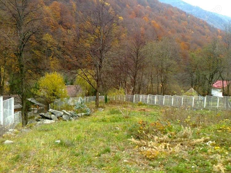 Teren de 2700 mp, în Central