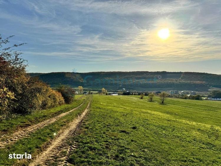 Teren de vanzare in Betfia, 5487 mp intravilan, Bihor, Gaminvest-V4571 - 5
