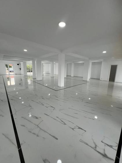Spațiu comercial, de 250 mp, în Dumbrăvița